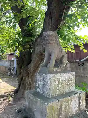 前玉神社(埼玉県)