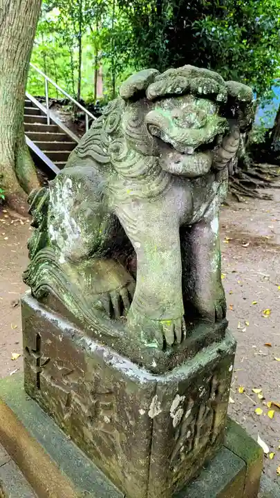 七百餘所神社 の狛犬