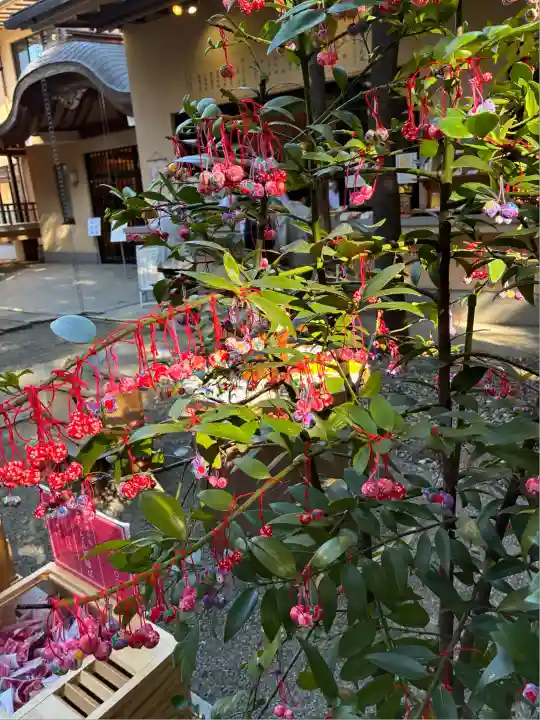 赤坂氷川神社(東京都)