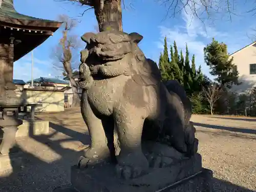 諏訪神社の狛犬