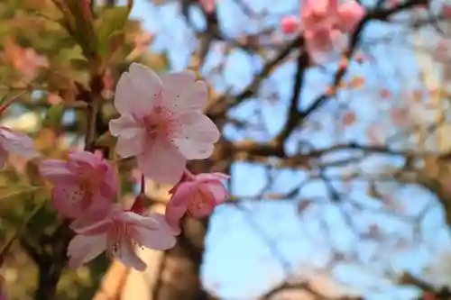 小野照崎神社の自然