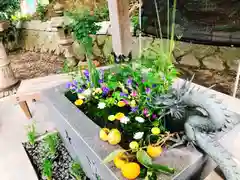 東海市熊野神社の手水