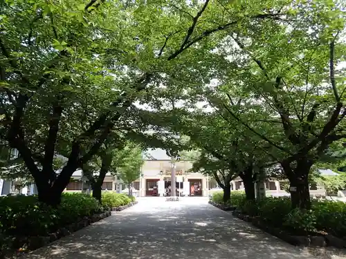 愛知縣護國神社の自然
