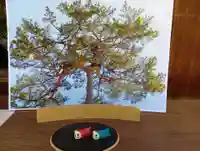 三津厳島神社(愛媛県)