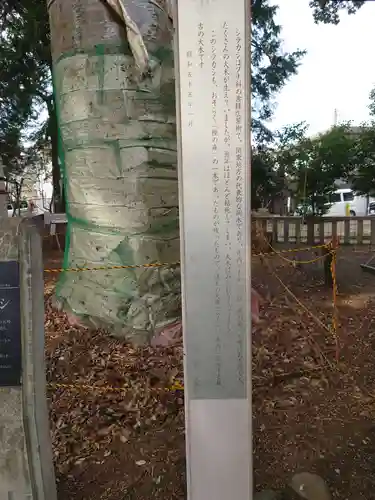 栗原神社の自然