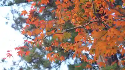 大原野神社(京都府)