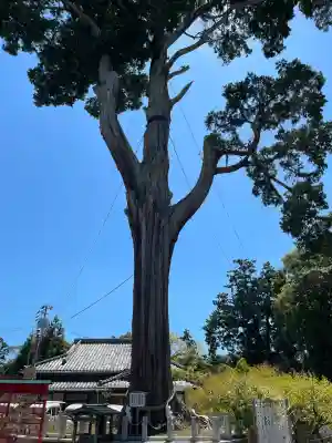 矢奈比賣神社（見付天神）(静岡県)
