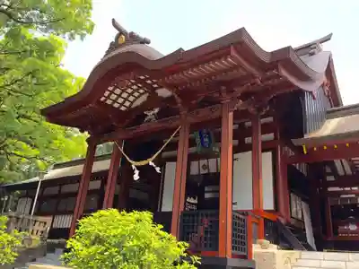 鹿児島神宮の本殿・本堂