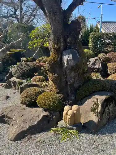 松應寺(東京都)