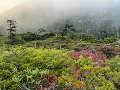 横岳神社(長野県)
