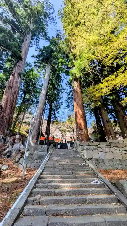金櫻神社の{uncategorized: "未分類", other: "その他", undefined: "問題あり", building: "その他建物", grave: "お墓", sacred_gate: "鳥居", guardian: "狛犬", statue: "像", buddha: "仏像", history: "歴史", nature: "自然", garden: "庭園", animal: "動物", pagoda: "塔", temizu: "手水舎", mountain_gate: "山門・神門", sanctuary: "本殿・本堂", subordinate: "末社・摂社", art: "芸術", scenery: "景色", jizo: "地蔵", ema: "絵馬", goshuin: "御朱印", omikuji: "おみくじ", items: "授与品その他", amulet: "お守り", goshuincho: "御朱印帳", eats: "食事", festival: "お祭り", votive_dance: "神楽", shichigosan: "七五三参", wedding: "結婚式", experience: "体験その他", initially: "初詣", around: "周辺", anti_infection: "感染症対策"}