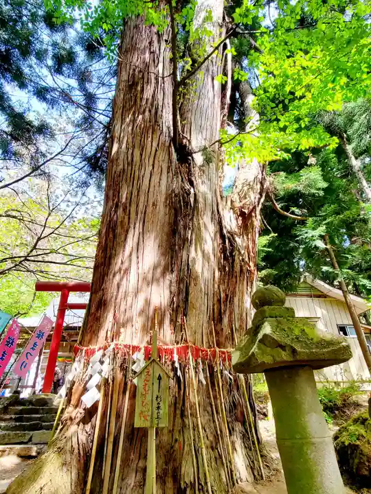磐椅神社(福島県)