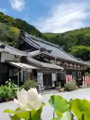 普門寺(切り絵御朱印発祥の寺)(愛知県)