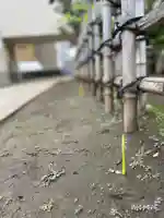 福王山 慈眼寺の自然