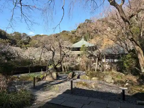 瑞泉寺の{uncategorized: "未分類", other: "その他", undefined: "問題あり", building: "その他建物", grave: "お墓", sacred_gate: "鳥居", guardian: "狛犬", statue: "像", buddha: "仏像", history: "歴史", nature: "自然", garden: "庭園", animal: "動物", pagoda: "塔", temizu: "手水舎", mountain_gate: "山門・神門", sanctuary: "本殿・本堂", subordinate: "末社・摂社", art: "芸術", scenery: "景色", jizo: "地蔵", ema: "絵馬", goshuin: "御朱印", omikuji: "おみくじ", items: "授与品その他", amulet: "お守り", goshuincho: "御朱印帳", eats: "食事", festival: "お祭り", votive_dance: "神楽", shichigosan: "七五三参", wedding: "結婚式", experience: "体験その他", initially: "初詣", around: "周辺", anti_infection: "感染症対策"}
