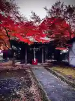 辨天八幡宮(東京都)