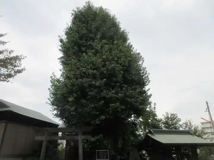 筑土八幡神社(東京都)
