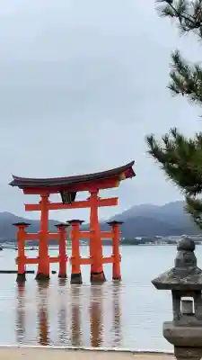 厳島神社の{uncategorized: "未分類", other: "その他", undefined: "問題あり", building: "その他建物", grave: "お墓", sacred_gate: "鳥居", guardian: "狛犬", statue: "像", buddha: "仏像", history: "歴史", nature: "自然", garden: "庭園", animal: "動物", pagoda: "塔", temizu: "手水舎", mountain_gate: "山門・神門", sanctuary: "本殿・本堂", subordinate: "末社・摂社", art: "芸術", scenery: "景色", jizo: "地蔵", ema: "絵馬", goshuin: "御朱印", omikuji: "おみくじ", items: "授与品その他", amulet: "お守り", goshuincho: "御朱印帳", eats: "食事", festival: "お祭り", votive_dance: "神楽", shichigosan: "七五三参", wedding: "結婚式", experience: "体験その他", initially: "初詣", around: "周辺", anti_infection: "感染症対策"}