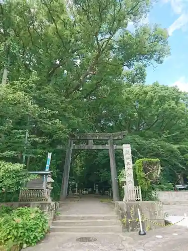 熊野三所神社の鳥居