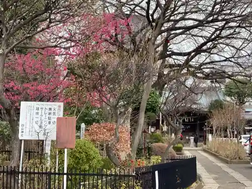 白山神社の庭園