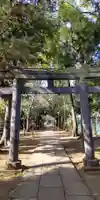 八雲氷川神社の鳥居