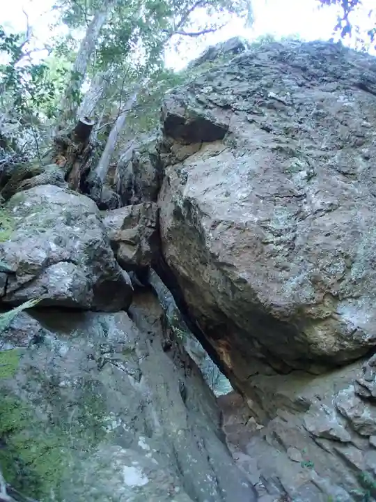 韓竈神社の自然