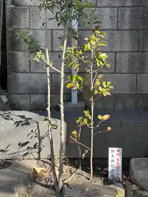 殿町水神社（水神宮）(神奈川県)