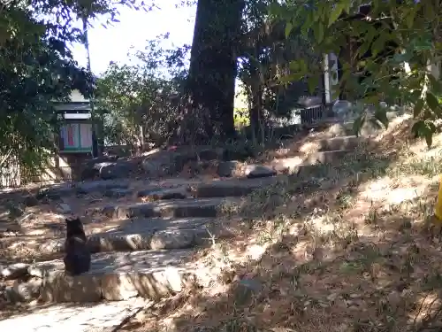 出世稲荷神社(東京都)