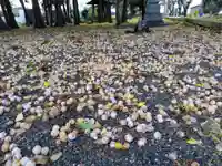 五社神社(滋賀県)