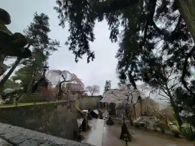 妙義神社(群馬県)