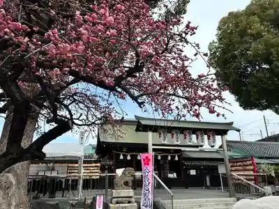山田天満宮(愛知県)