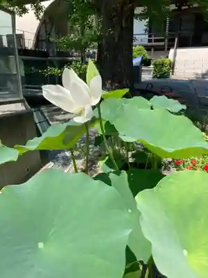 浄土寺(神奈川県)