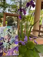 和泉國一之宮 大鳥大社の御朱印