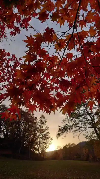 相馬神社の自然