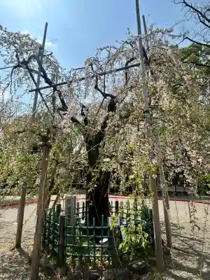 大國魂神社(東京都)