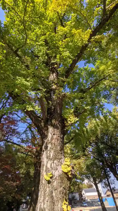 挙母神社(愛知県)