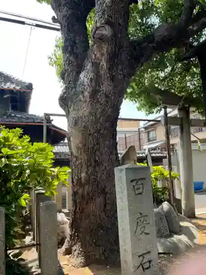 我堂八幡宮のその他建物