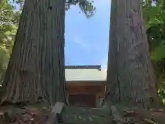 中谷神社の建物その他