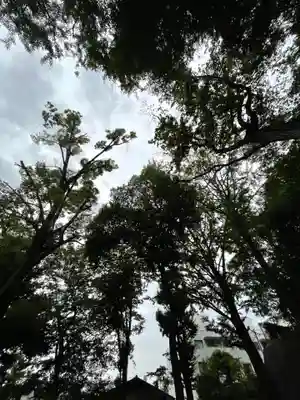 三宿神社の自然