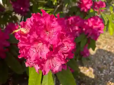木舟山　順教寺(広島県)