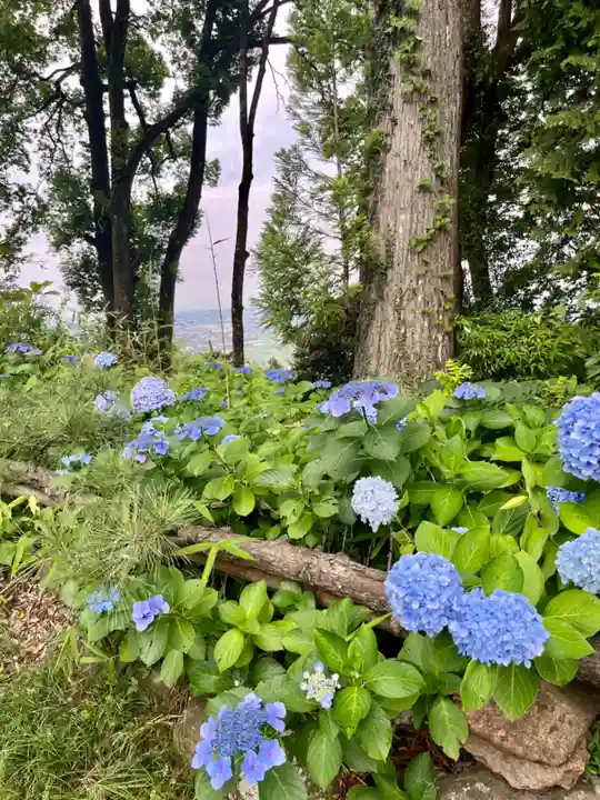 熊野那智神社(宮城県)