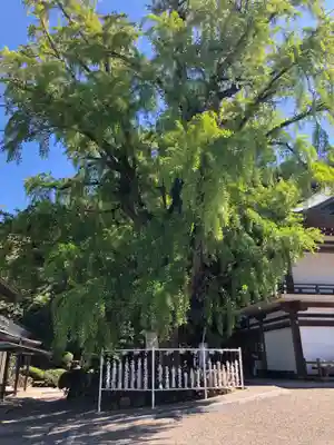 吉備津神社(岡山県)