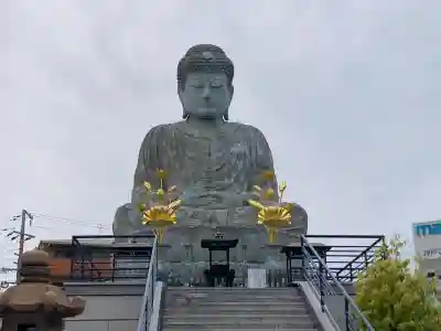 能福寺の{uncategorized: "未分類", other: "その他", undefined: "問題あり", building: "その他建物", grave: "お墓", sacred_gate: "鳥居", guardian: "狛犬", statue: "像", buddha: "仏像", history: "歴史", nature: "自然", garden: "庭園", animal: "動物", pagoda: "塔", temizu: "手水舎", mountain_gate: "山門・神門", sanctuary: "本殿・本堂", subordinate: "末社・摂社", art: "芸術", scenery: "景色", jizo: "地蔵", ema: "絵馬", goshuin: "御朱印", omikuji: "おみくじ", items: "授与品その他", amulet: "お守り", goshuincho: "御朱印帳", eats: "食事", festival: "お祭り", votive_dance: "神楽", shichigosan: "七五三参", wedding: "結婚式", experience: "体験その他", initially: "初詣", around: "周辺", anti_infection: "感染症対策"}