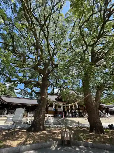 明治神宮(東京都)