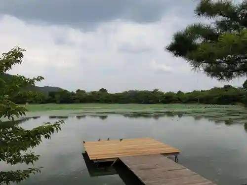 大覚寺の景色