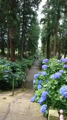 磯山神社(栃木県)
