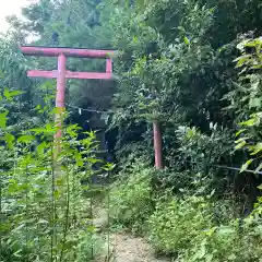 埼玉厄除け開運大師・龍泉寺（切り絵御朱印発祥の寺）の鳥居