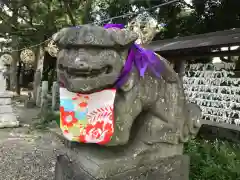 菊田神社の狛犬