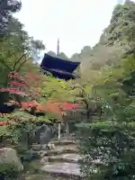 金剛輪寺(滋賀県)