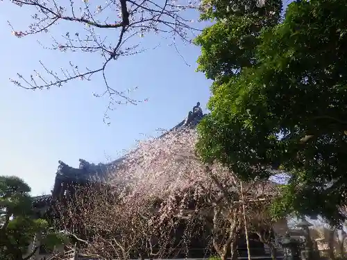 本覚寺の本殿・本堂